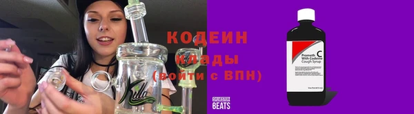 шишки Пересвет