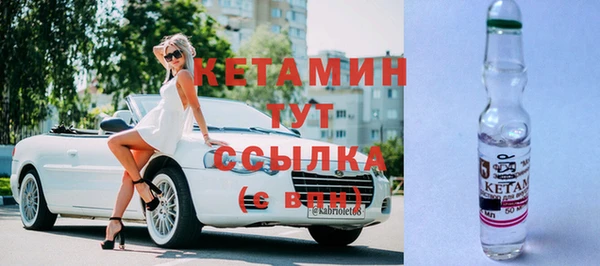 шишки Пересвет