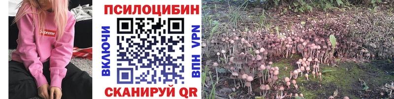 Купить  Темников  Псилоцибиновые грибы ЛСД 
